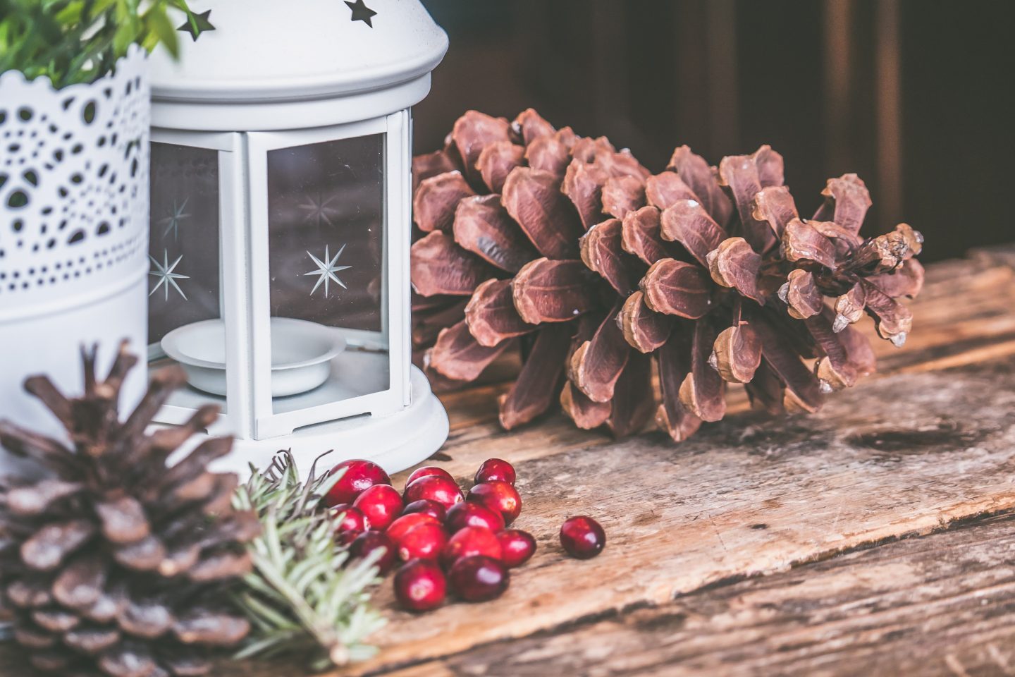 Holiday Traditions for Non-Christians