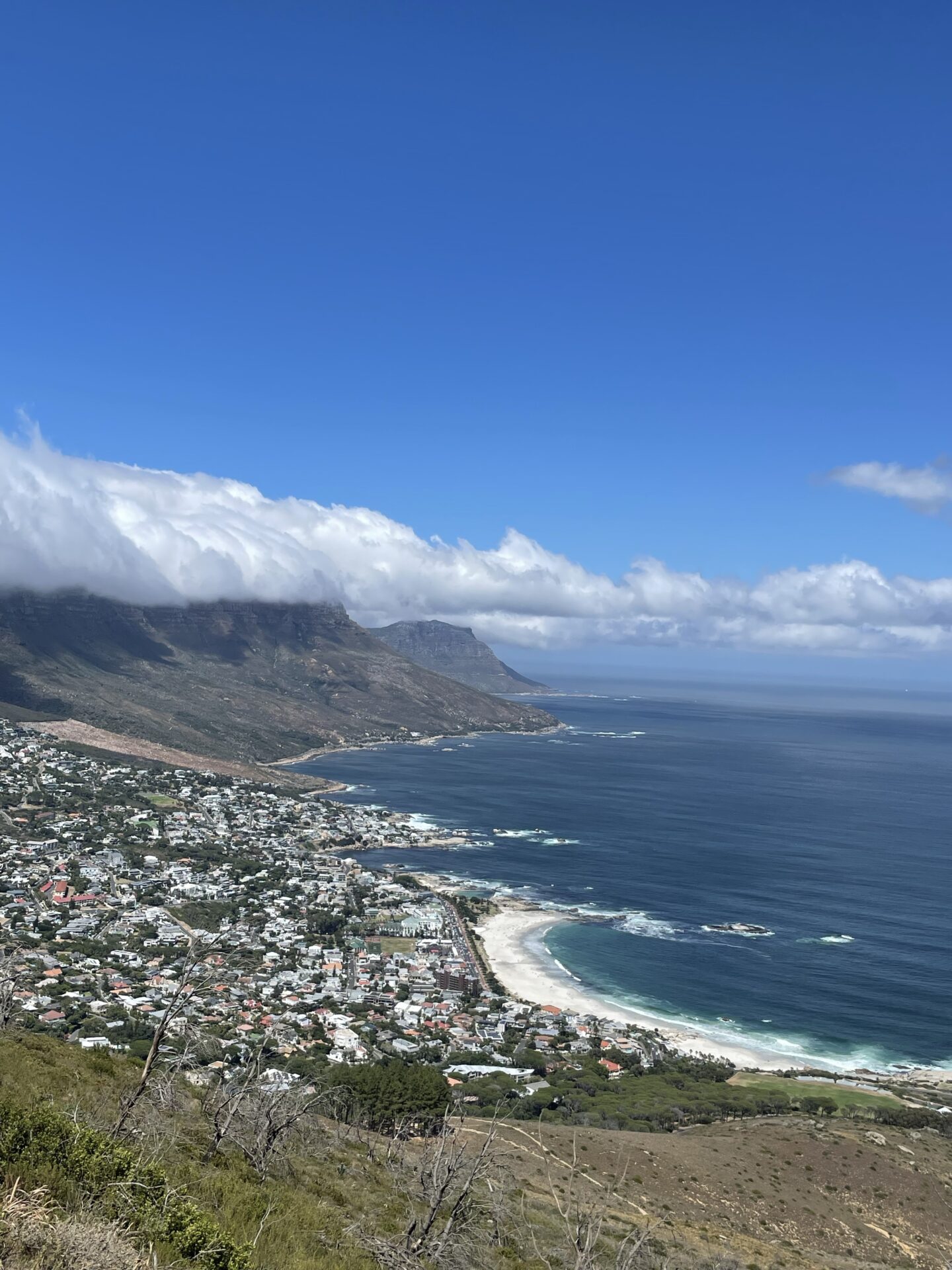 Cape Town Review & Recommendations